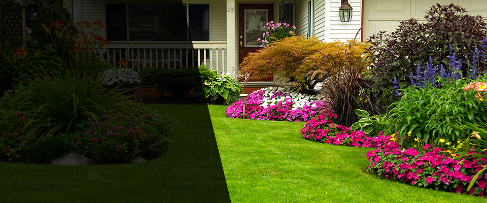 Kensington Landscapers